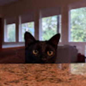 Meet your Posher, Lori